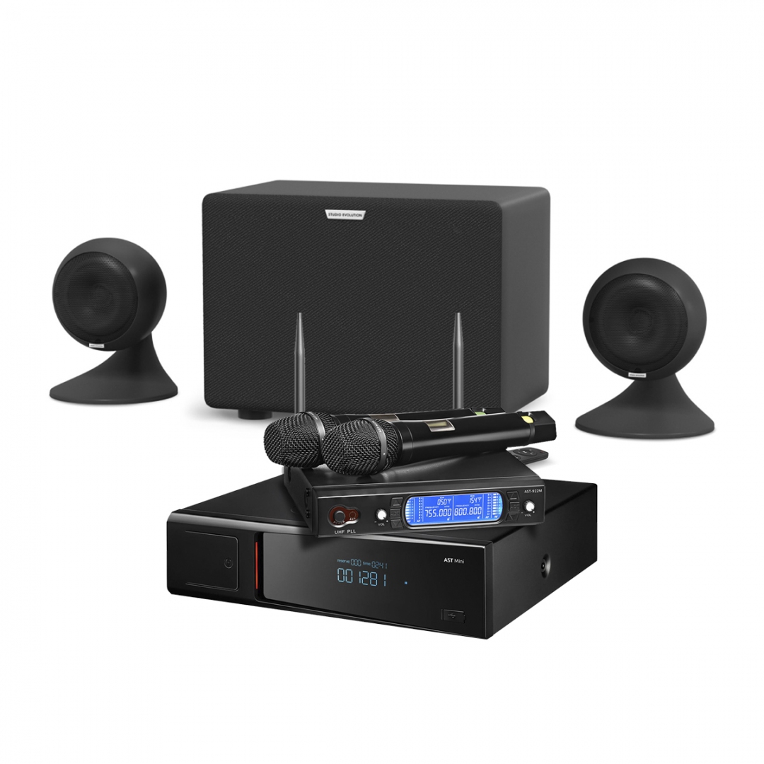 караоке-комплект AST Mini Sound Sphere в Междуреченске