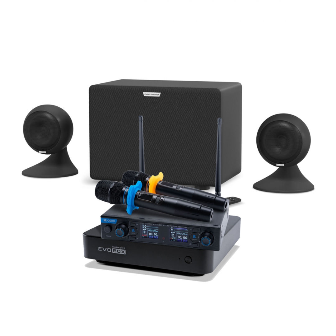 караоке-комплект EVOBOX + EvoSound Sphere 2.1 в Междуреченске