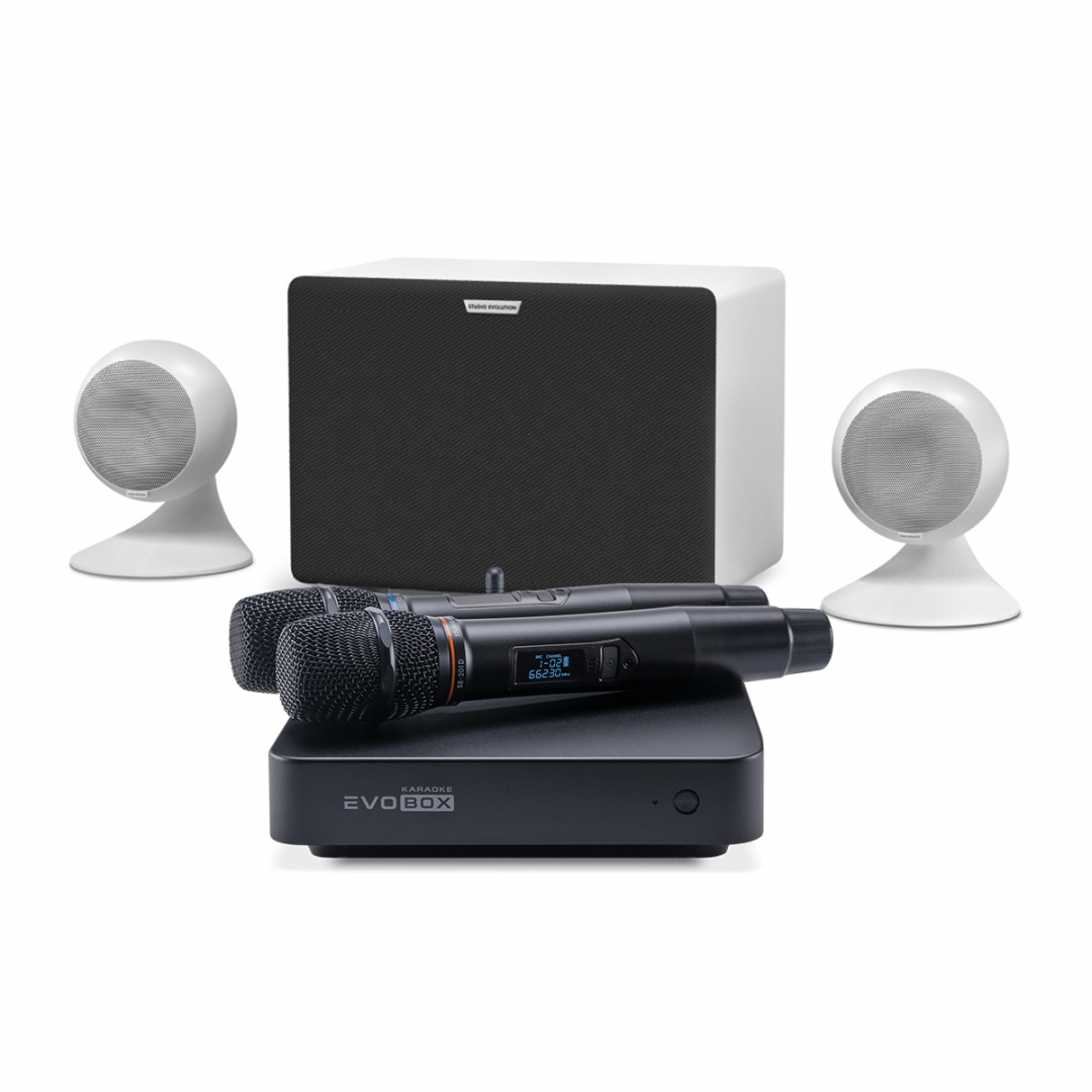караоке-комплект EVOBOX Classic + EvoSound Sphere 2.1 в Междуреченске