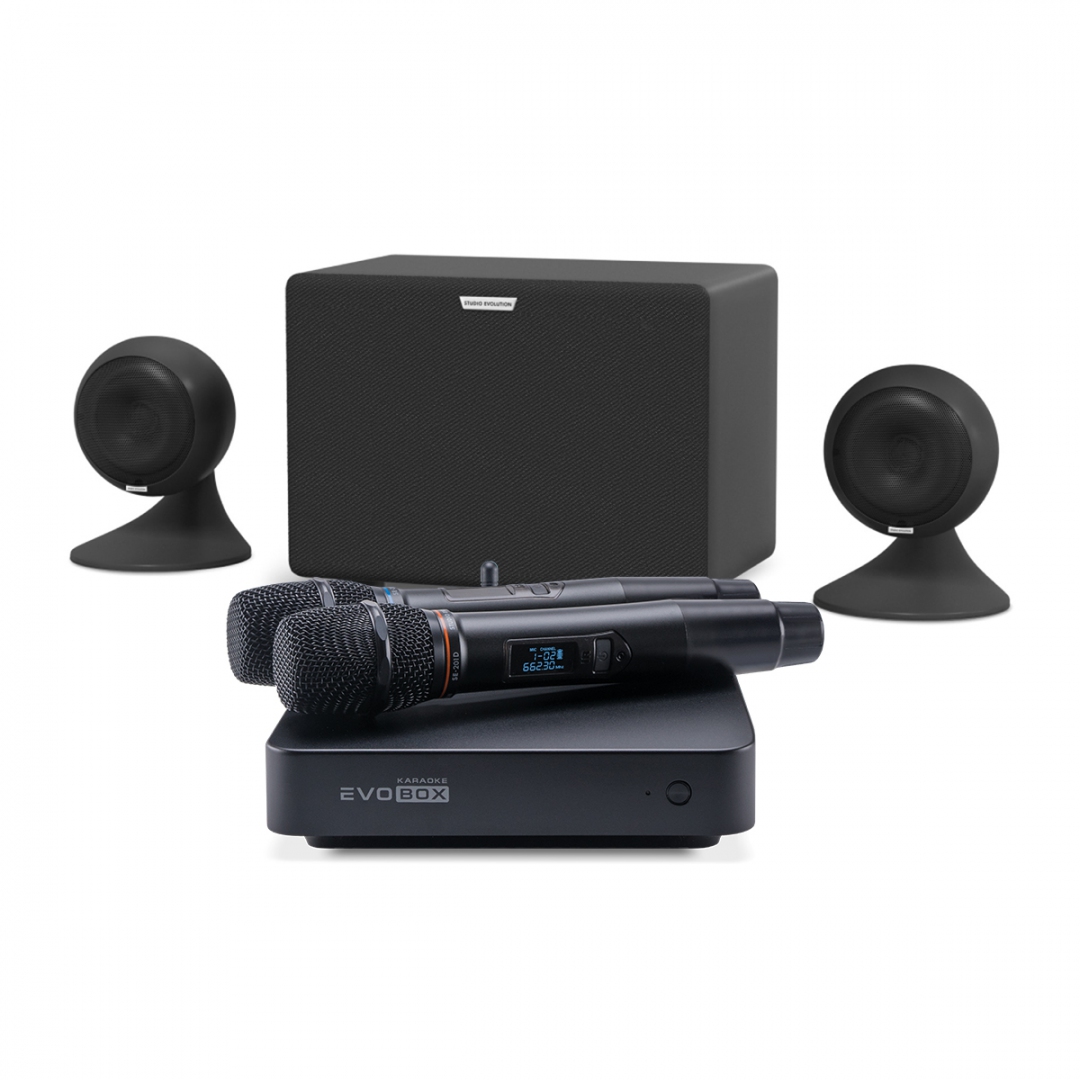 караоке-комплект EVOBOX Plus + EvoSound Sphere 2.1 в Междуреченске