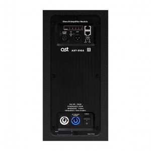Активная акустическая система AST-310A в Междуреченске