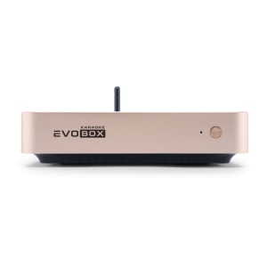 EVOBOX Classic караоке-система для дома в Междуреченске