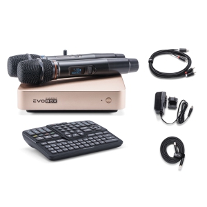 EVOBOX Classic караоке-система для дома в Междуреченске