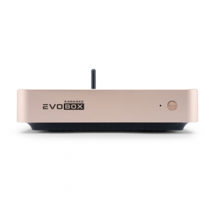 EVOBOX Plus караоке-система для дома в Междуреченске