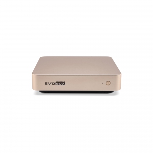 EVOBOX с микрофонами в Междуреченске