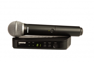 SHURE BLX24E/PG58 M17 вокальная радиосистема в Междуреченске